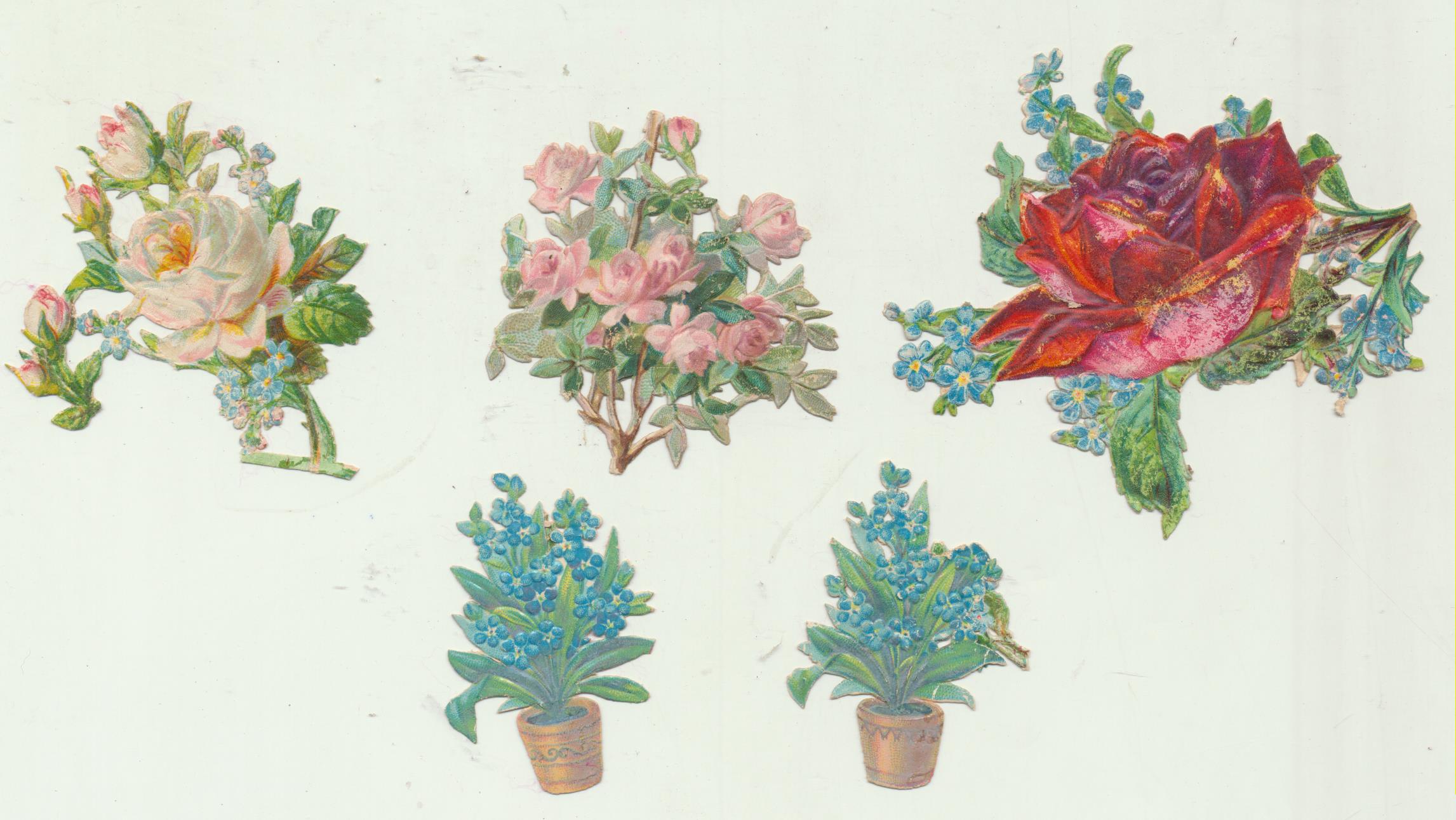 Lote de 5 Cromos Troquelados (7 a 4,5 cms) Siglo XIX-XX