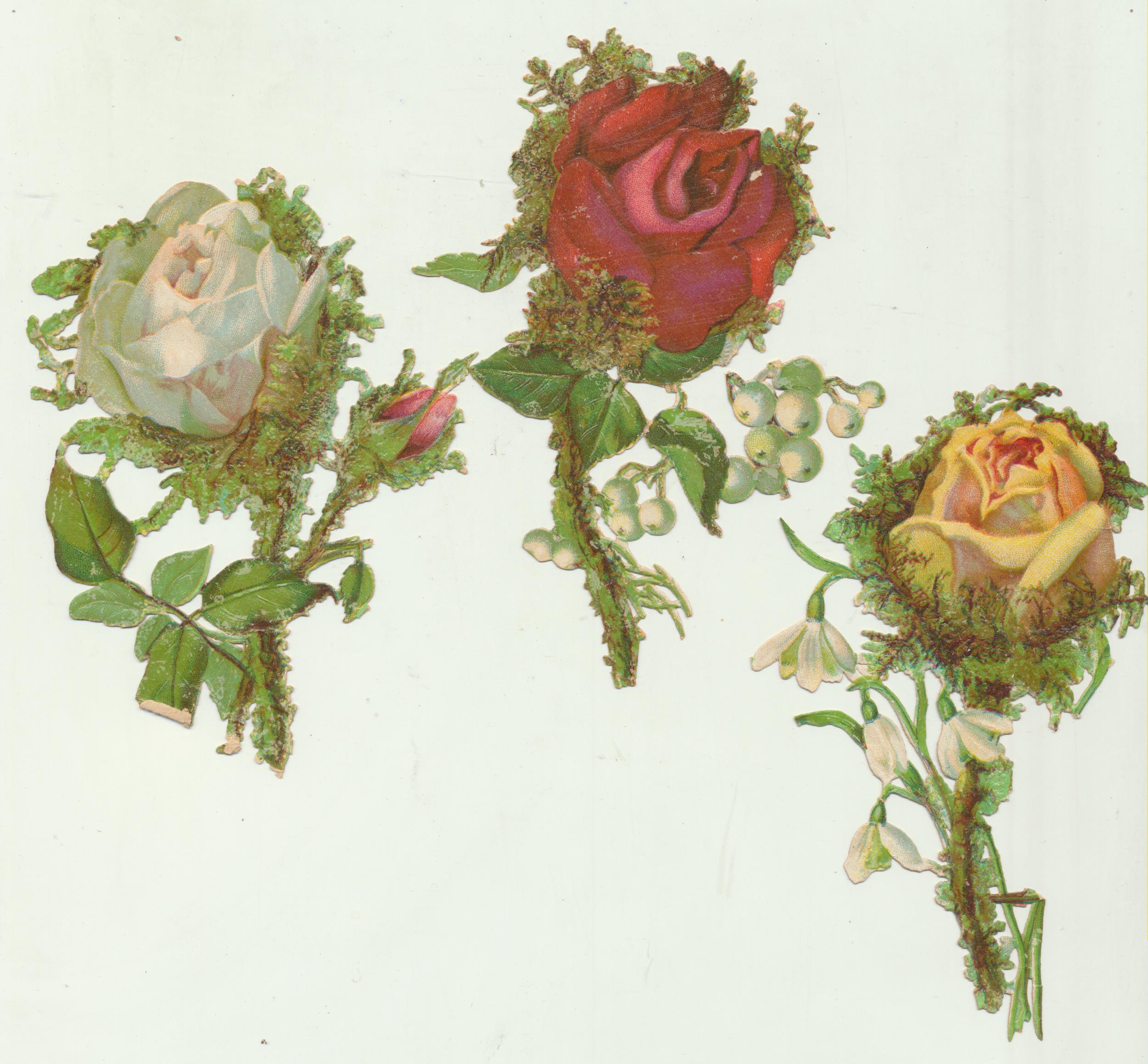 Lote de 3 Cromos Troquelados (12,5 cms) Siglo XIX-XX