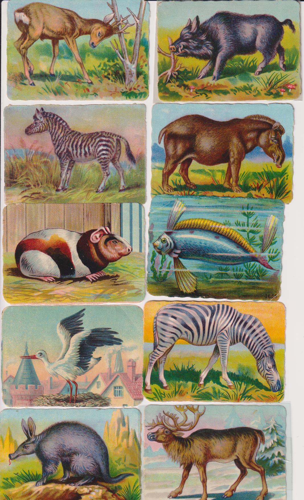 Lote de 10 Cromos Troquelados (6,5x9) Animales. Siglo XX