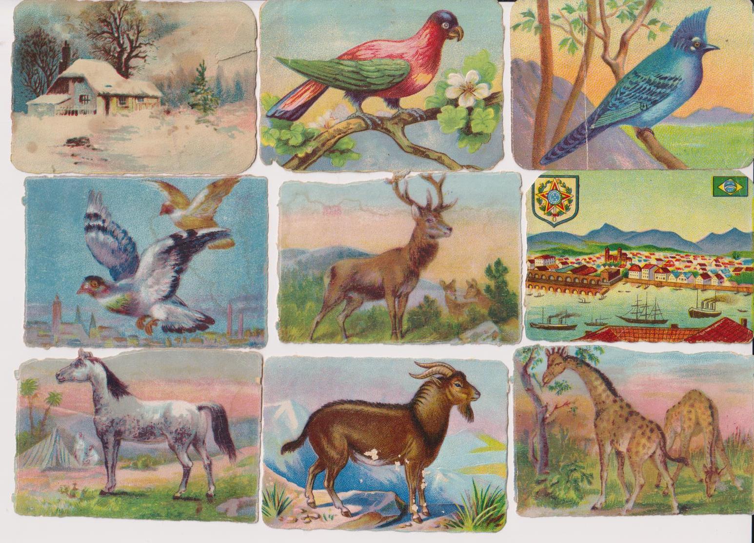 Lote de 9 Cromos Troquelados (6x8,5) Animales y vistas. Siglo XX