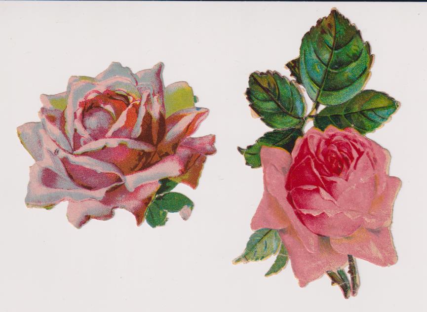 Lote de 2 Cromos Troquelados (10 y 7,5 cms.) Flores. Siglo XIX-XX
