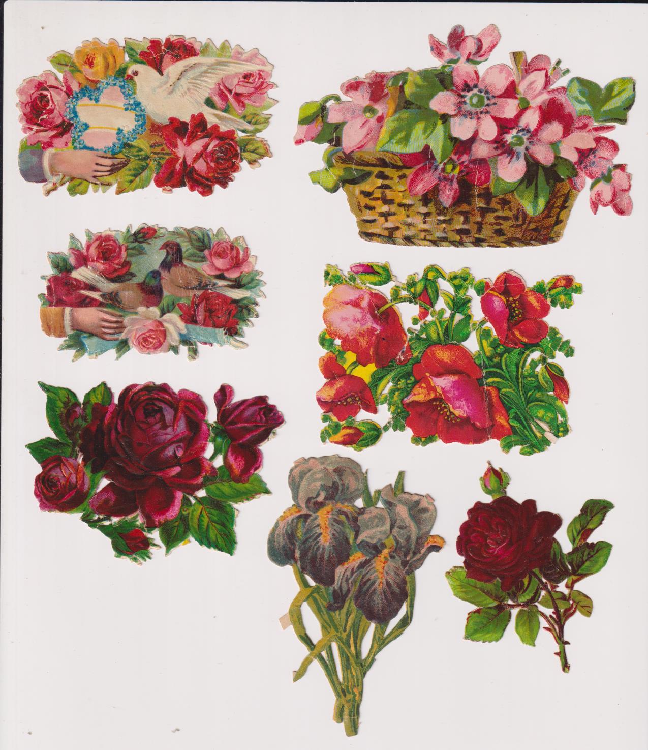 Lote de 7 Cromos Troquelados (11, 5a 7,5 cms.) Flores. Siglo XIX-XX