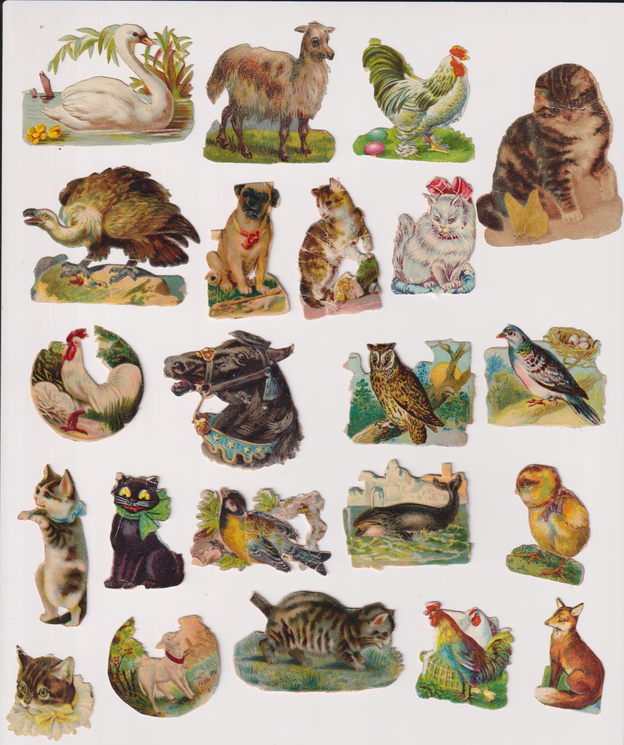 Lote de 22 Cromos Troquelados (7 a 4 cms.) Animales. Siglo XIX-XX