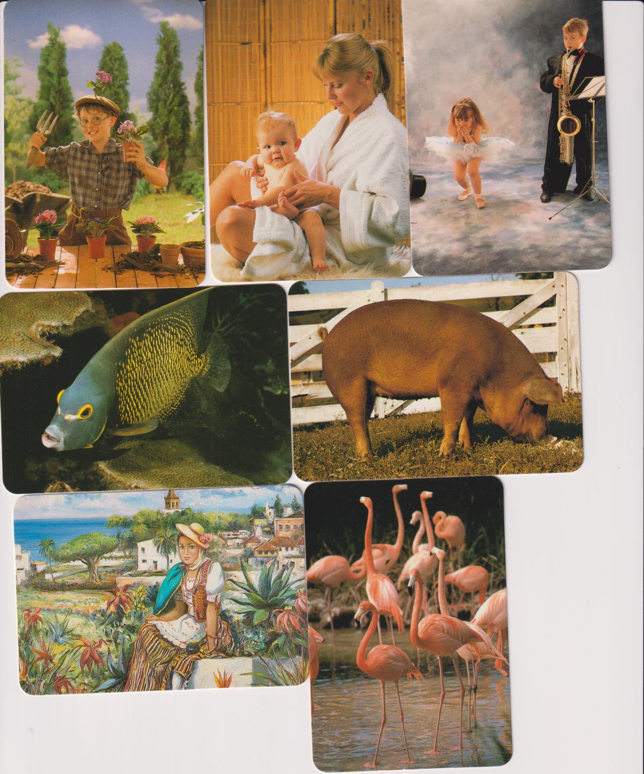 Lote de 7 Calendarios EGC.( Varios) Año 1997