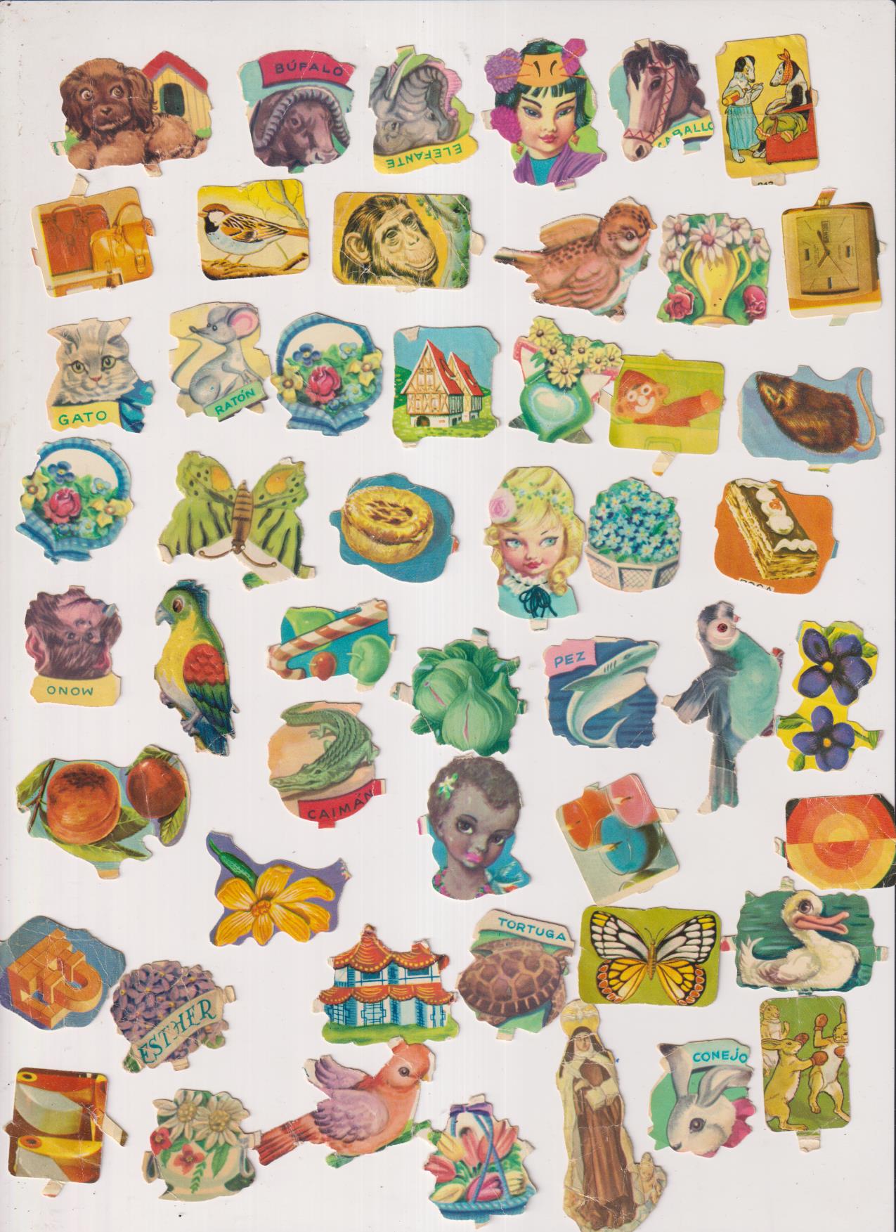 Lote de 50 cromos troquelados. Siglo XX